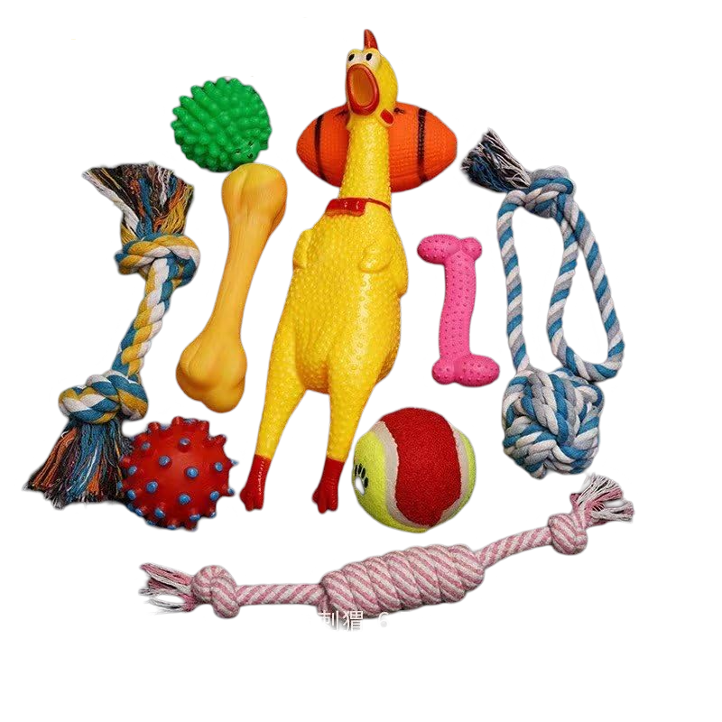 10pcs Pet Toy Dog Set-ran...